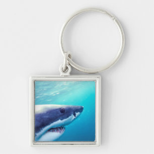 Great White Shark South Africa Keychain