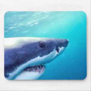 Great White Shark South Africa Mouse Pad