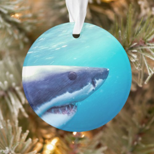 Great White Shark  South Africa Ornament