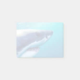 Great White Shark   South Africa Post-it Notes