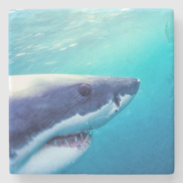 Great White Shark | South Africa Stone Coaster (Front)