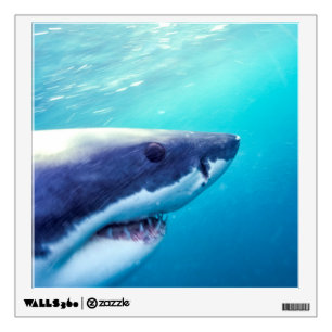 Great White Shark   South Africa Wall Decal