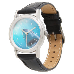 Great White Shark South Africa Watch