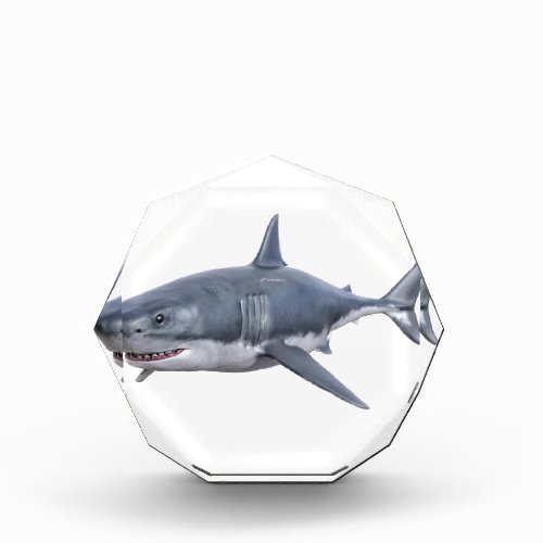 great white shark swimming to the right acrylic award