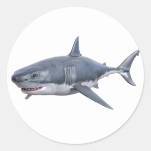 great white shark swimming to the right classic round sticker
