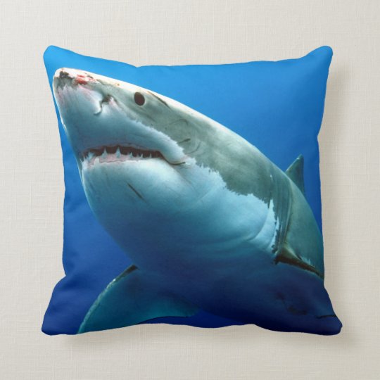 shark blanket and pillow