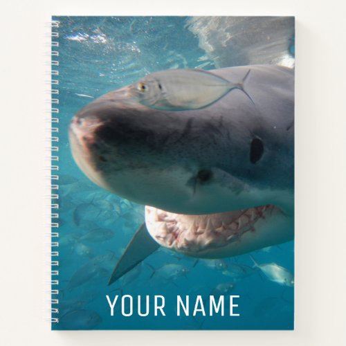 Great White Shark Underwater Portrait Custom Notebook