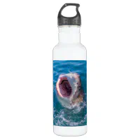 https://rlv.zcache.com/great_white_shark_water_bottle-r2076c97ce17f4cdf900697fd283dcf2f_zs6t0_200.webp?rlvnet=1