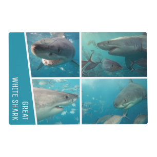 Great White Sharks of Australia Wildlife Placemat