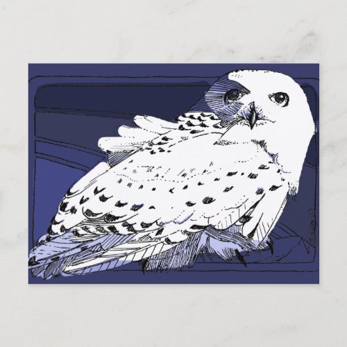 Great White Snowy Owl Postcard