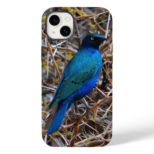 Greater Blue Eared Starling bird Case-Mate iPhone 14 Plus Case