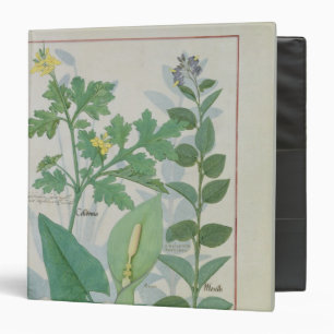 Greater Celandine or Poppy Binder