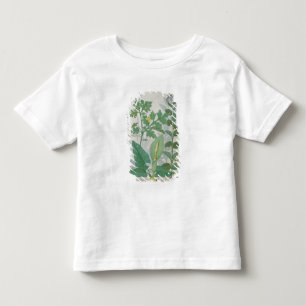Greater Celandine or Poppy Toddler T-shirt