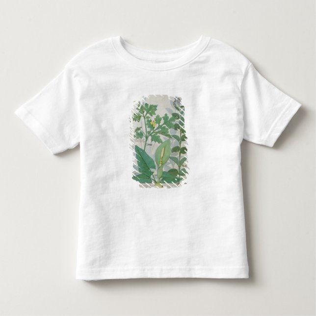 Greater Celandine or Poppy Toddler T-shirt (Front)