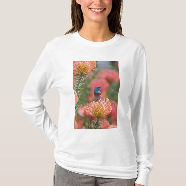 Greater Double-collared Sunbird T-Shirt (Front)