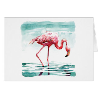 Greater flamingo cards