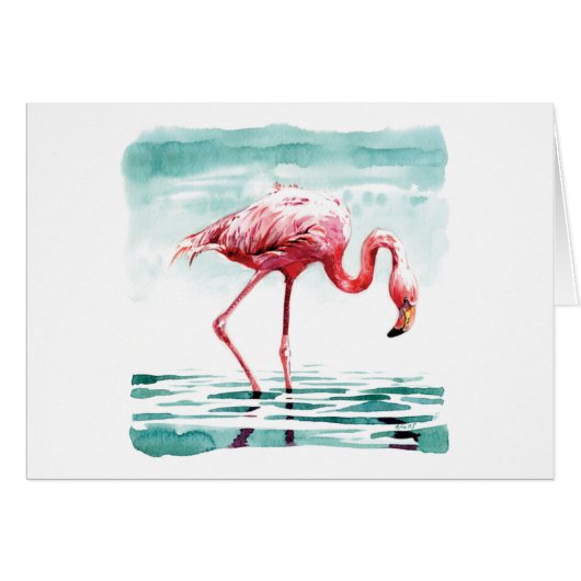 Greater flamingo cards (Front Horizontal)