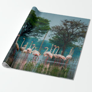 Greater flamingo flock in natural habitat. A natur Wrapping Paper