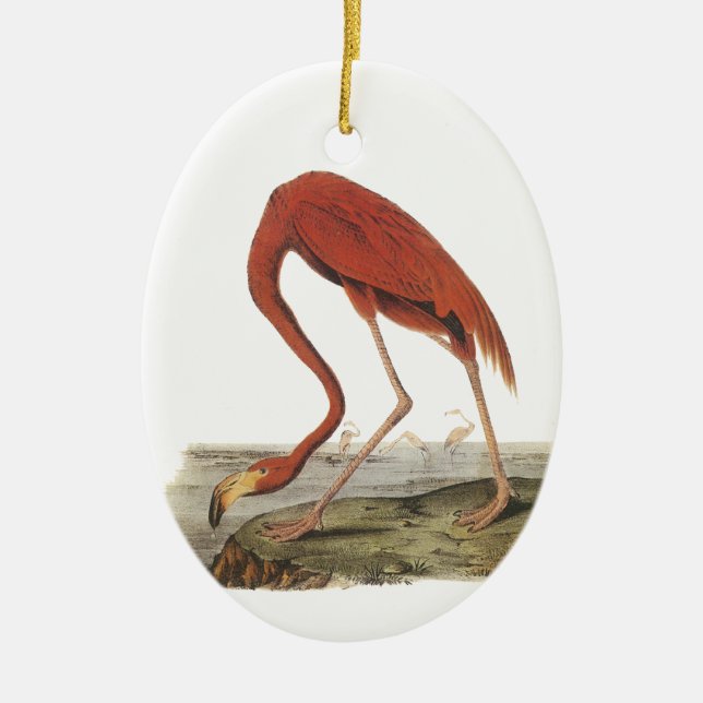 Greater Flamingo, John Audubon Ceramic Ornament (Front)