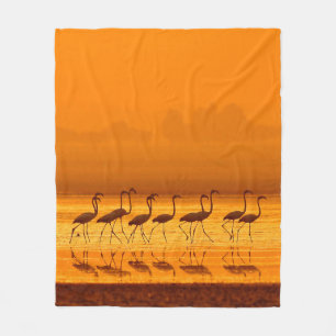 Greater Flamingo (Phoenicopterus roseus walking) Fleece Blanket