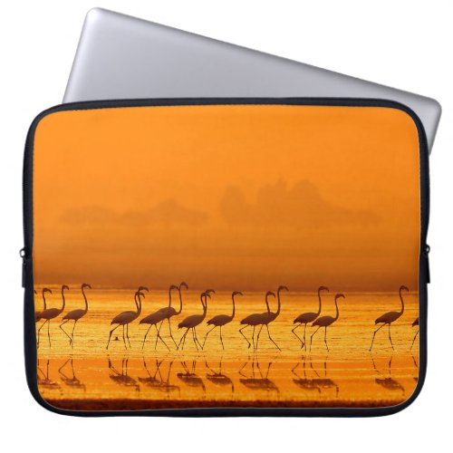 Greater Flamingo  Phoenicopterus roseus walking  Laptop Sleeve