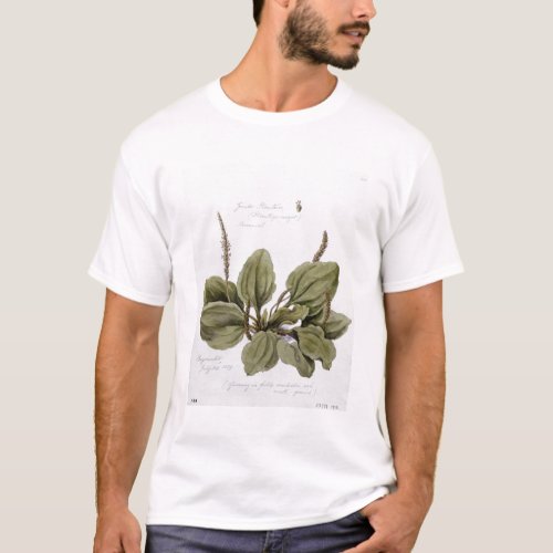 Greater Plantain painted at Bayswater 24th July T_Shirt