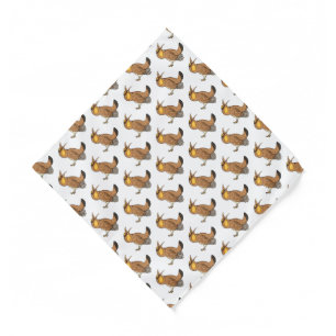 Greater prairie chicken cartoon illustration bandana