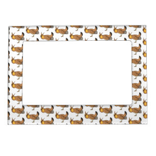 Greater prairie chicken cartoon illustration magnetic frame