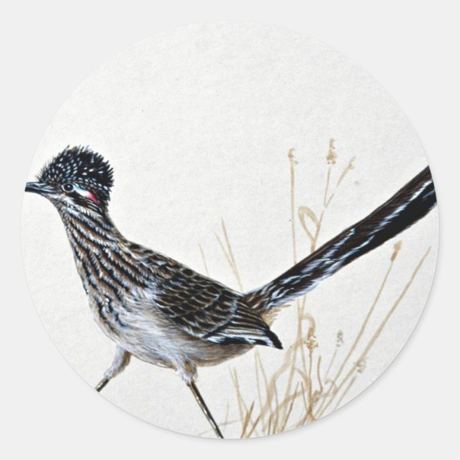 Greater roadrunner classic round sticker (Front)