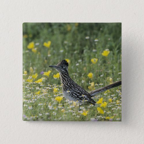 Greater Roadrunner Geococcyx californianus Pinback Button