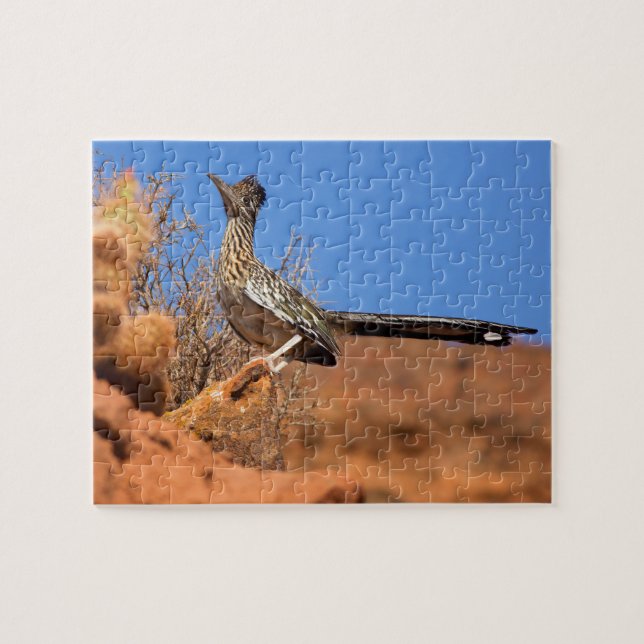 Greater Roadrunner Jigsaw Puzzle (Horizontal)