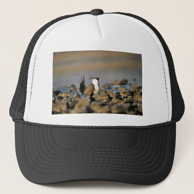 Greater sage grouse trucker hat (Front)