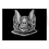 Greater Spear-nosed Bat (Front Horizontal)