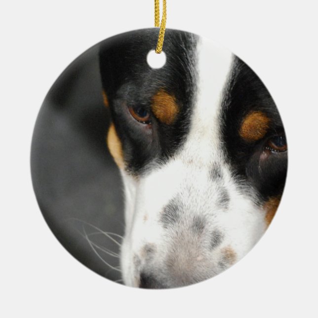 greater-swiss-mountain-dog-1.jpg ceramic ornament (Front)