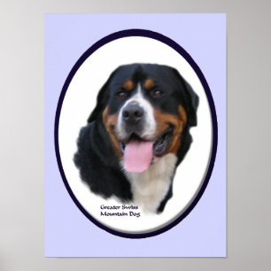 Greater Swiss Mountain Dog Art Print