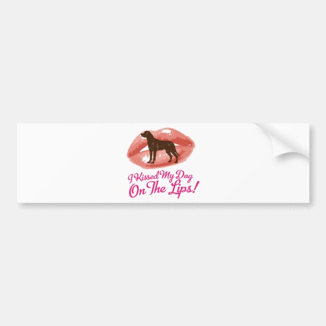 Greater Swiss Mountain Dog Bumper Sticker (Front)