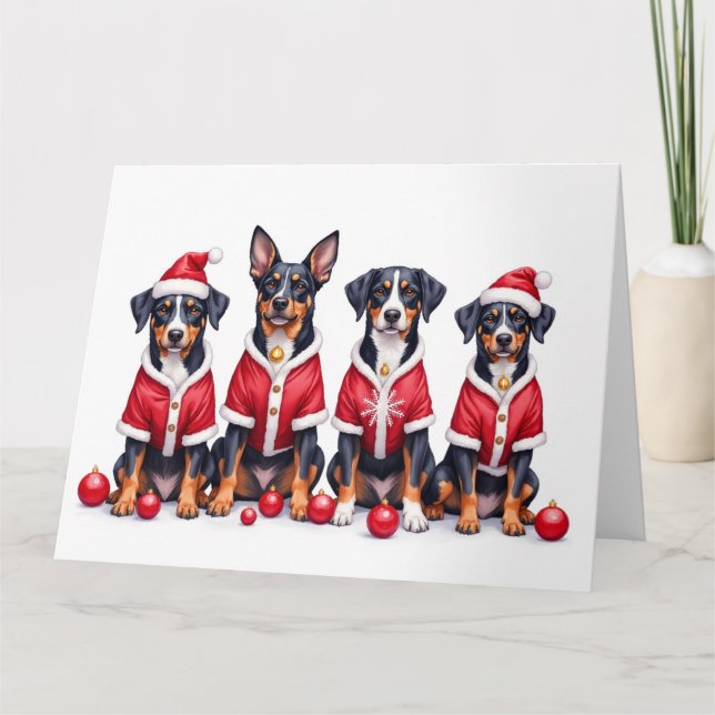 Greater Swiss Mountain Dog Christmas Dress Santa Card (Front)