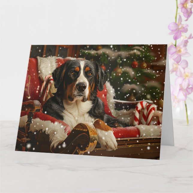Greater Swiss Mountain Dog Christmas Festive Card (Orchid)