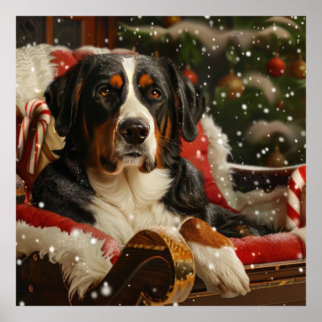 Greater Swiss Mountain Dog Christmas Festive Poster (Front)