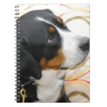 Greater Swiss Mountain Dog Notebook
