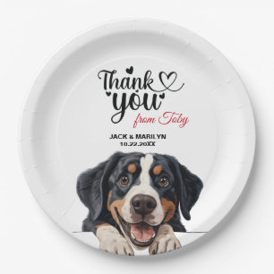 Greater Swiss Mountain Dog Photo Paper Plates