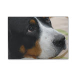 Greater Swiss Mountain Dog Post-it Notes