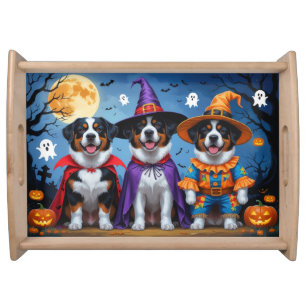 Greater Swiss Mountain Dog Pumpkin Halloween Funny Serving Tray