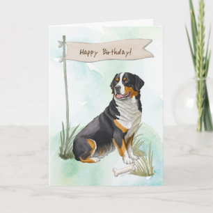Greater Swiss Mountain Dog Under Birthday Sign Card