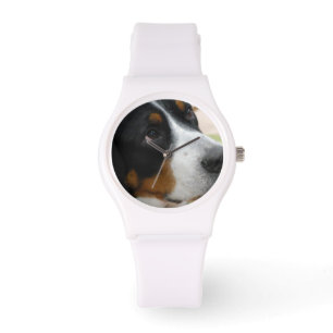 Greater Swiss Mountain Dog Watch