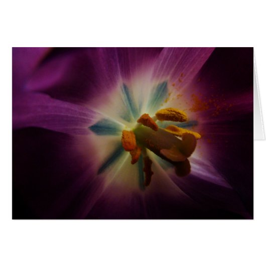 Greater than me (Front Horizontal)