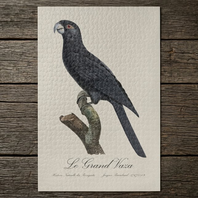Greater Vasa Parrot, Coracopsis Vasa Illustration Jigsaw Puzzle (Greater Vasa Parrot, Coracopsis Vasa Illustration. Jigsaw Puzzle)