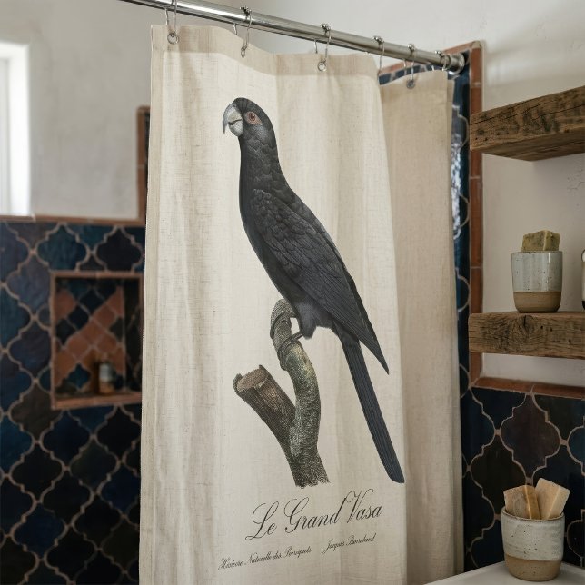 Greater Vasa Parrot, Coracopsis Vasa Illustration Shower Curtain (Greater Vasa Parrot, Coracopsis Vasa Illustration. Shower Curtain)