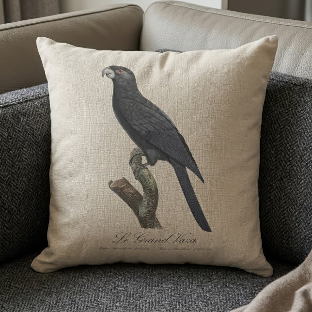 Greater Vasa Parrot, Coracopsis Vasa Illustration Throw Pillow (Greater Vasa Parrot, Coracopsis Vasa Illustration. Throw Pillow)