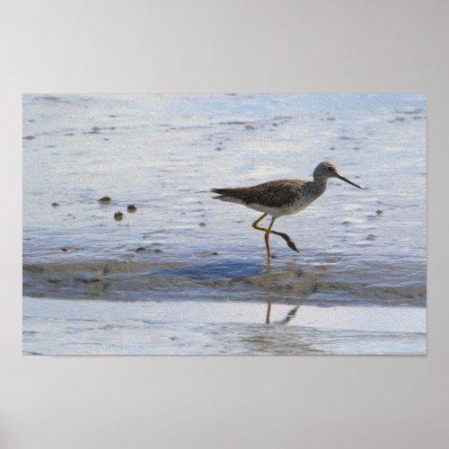 Greater Yellow Legs Bird Poster 